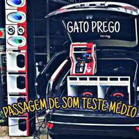 Gato Prego's avatar cover