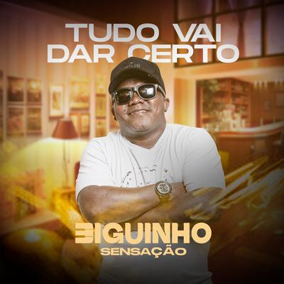 Tudo Vai Dar Certo By BIGUINHO SENSAÇÃO's cover