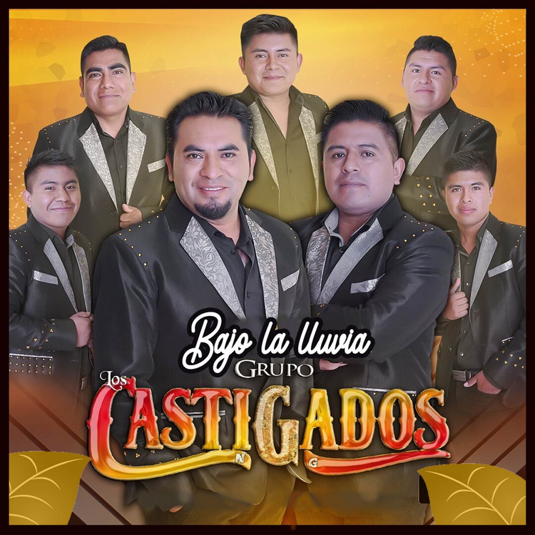 Los Castigados NG's avatar image