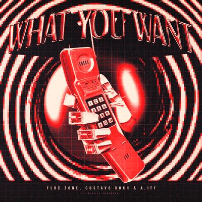 What You Want By Flux Zone, Gustavo Koch, A.IFF's cover
