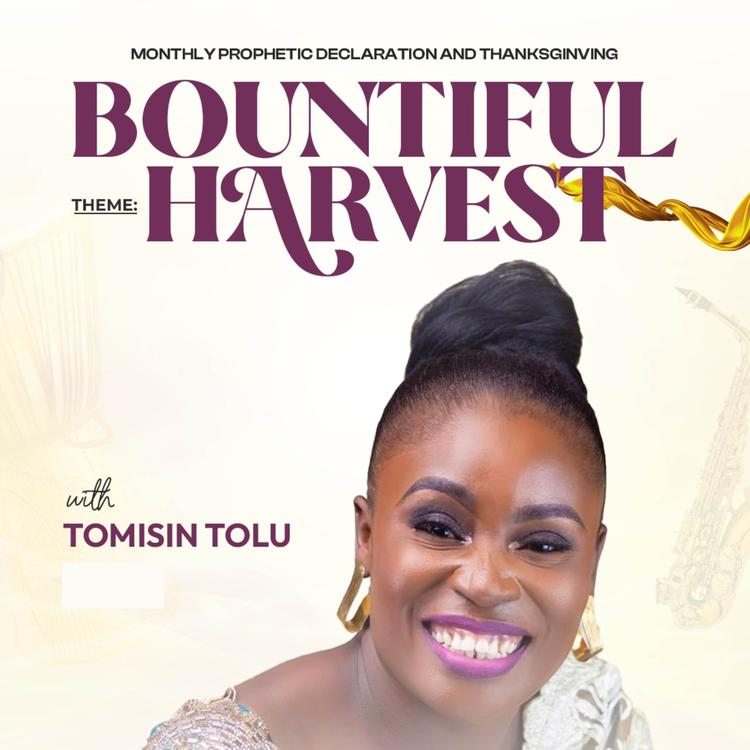 TOMISIN TOLU's avatar image