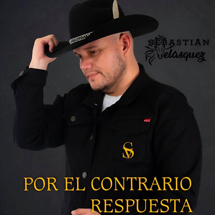 Sebastian Velasquez's avatar image