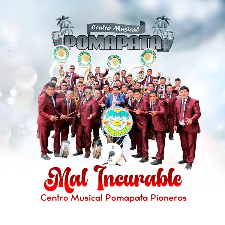 Centro Musical Pomapata Pioneros's avatar image