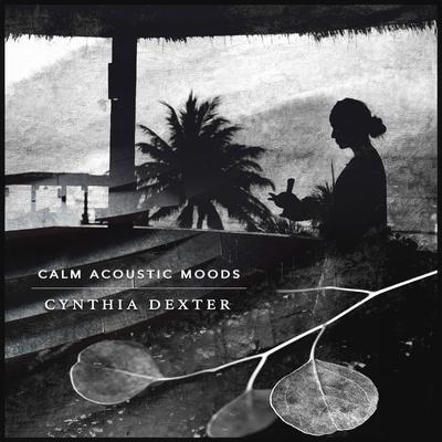 Calm Acoustic Moods's cover