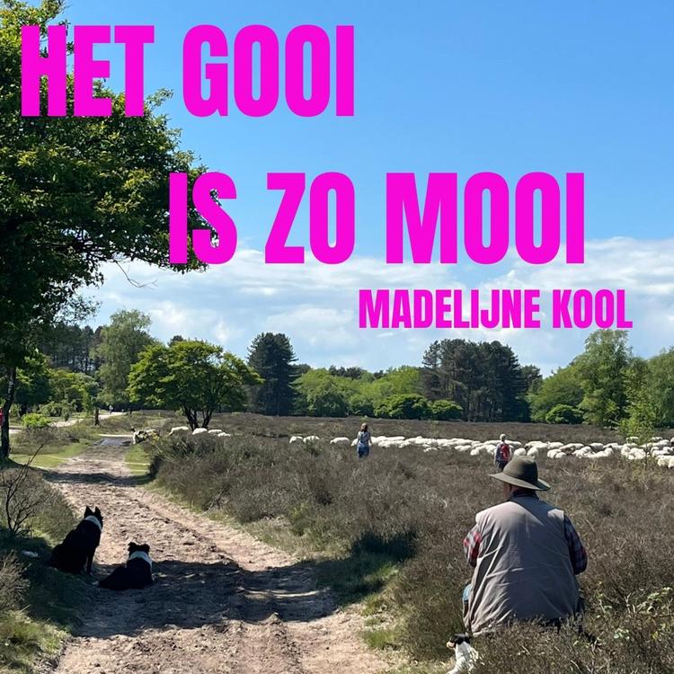 Madelijne Kool's avatar image