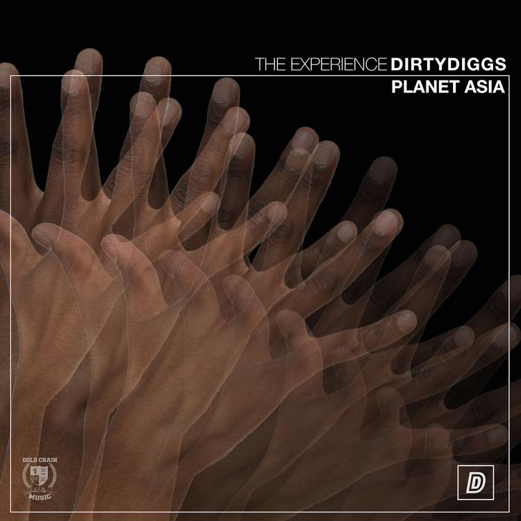 DirtyDiggs's avatar image