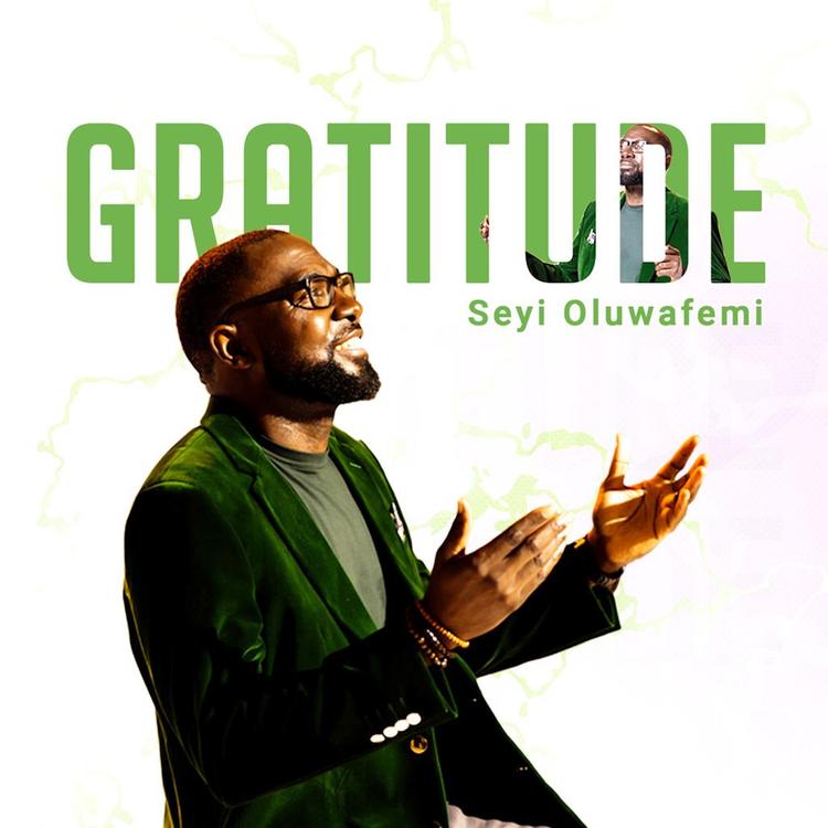 Seyi Oluwafemi's avatar image