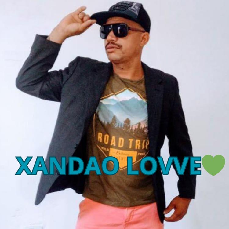 Xandao love forró toque xinelado's avatar image