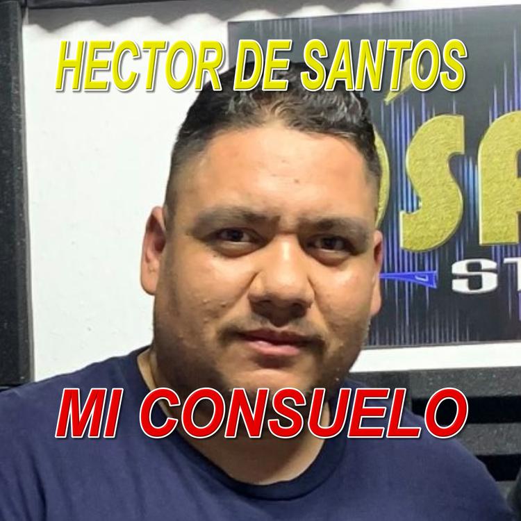 Héctor De santos's avatar image