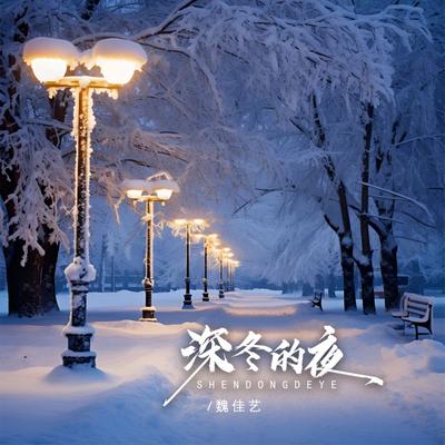深冬的夜 (Djbanan版 伴奏)'s cover
