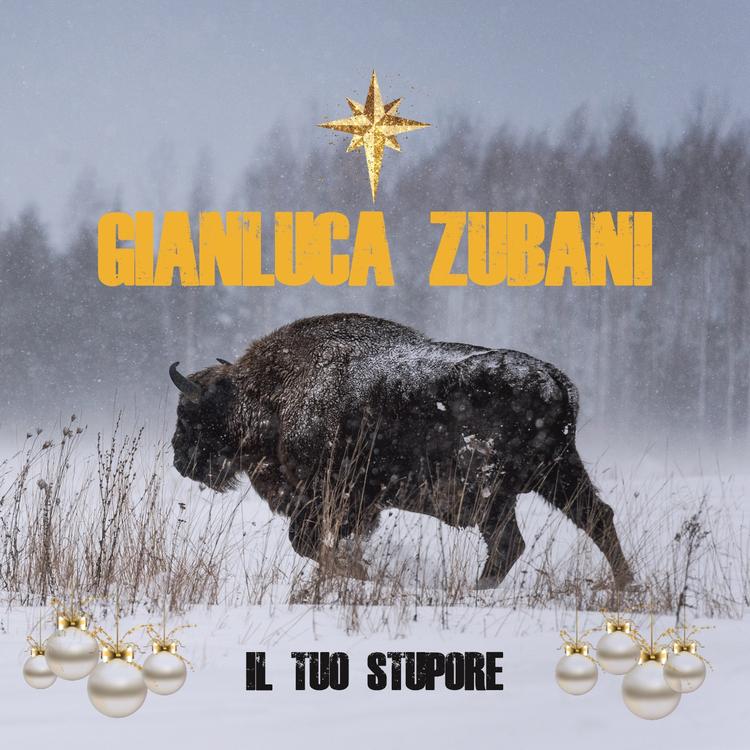 Gianluca Zubani's avatar image