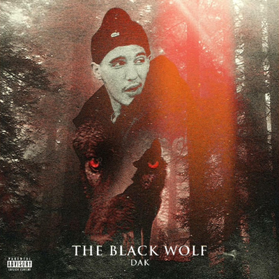 The Black Wolf's cover