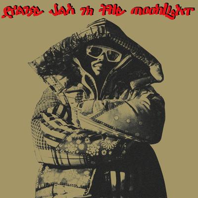 Praise Jah In The Moonlight (Radio Edit)'s cover