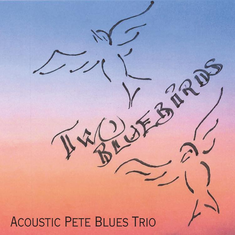 Acoustic Pete Blues Trio's avatar image