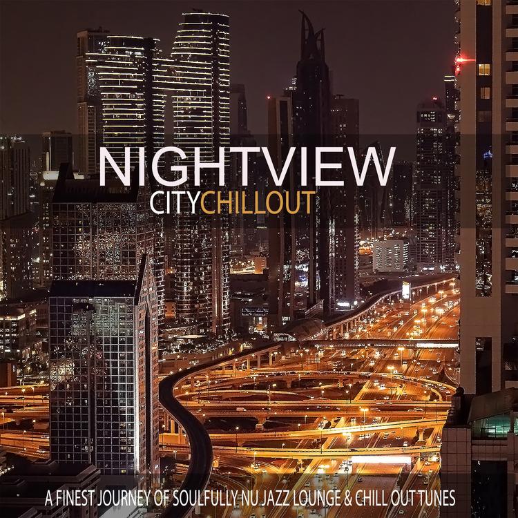 Nightview's avatar image