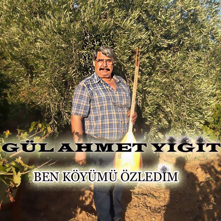 Gül Ahmet Yiğit's avatar image