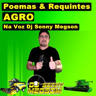 Poemas & Requintes -  A Meta é Produzir By Dj Sonny Megson's cover