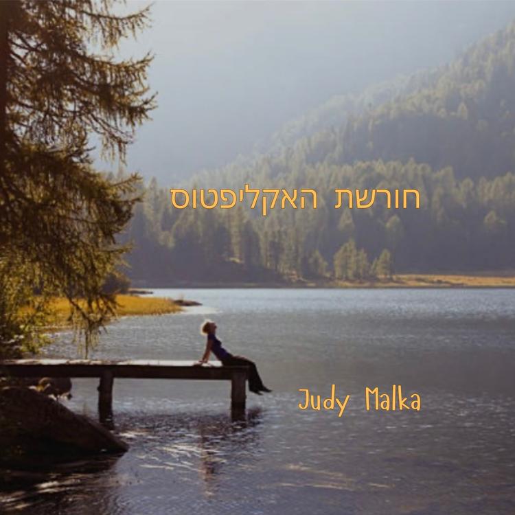 Judy Malka's avatar image