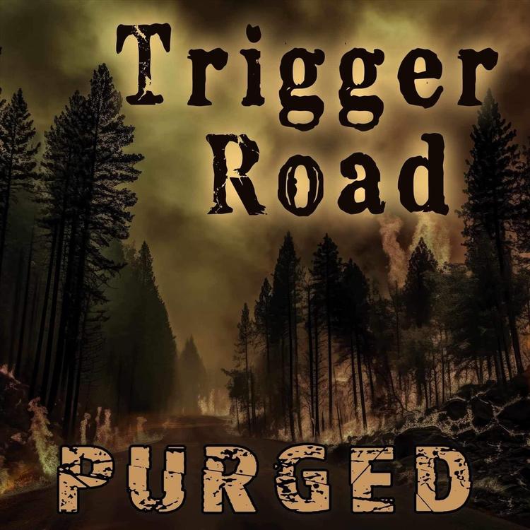 Trigger Road's avatar image