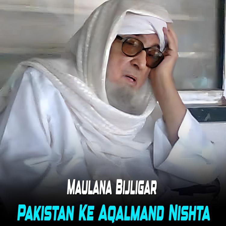 Maulana Bijligar's avatar image
