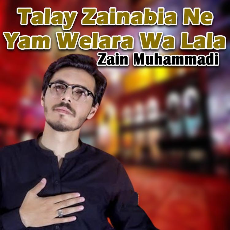 Zain Muhammadi's avatar image