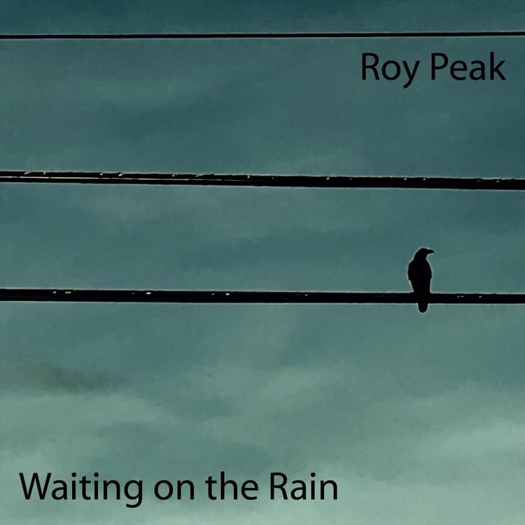 Roy Peak's avatar image