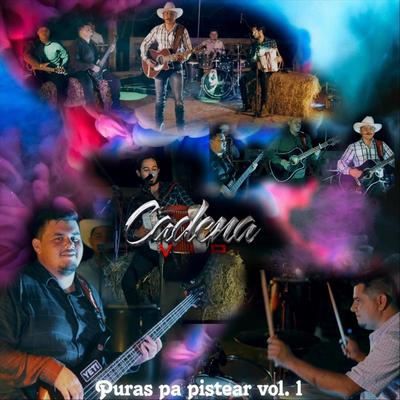 Puras Pa Pistear, vol. 1 (En Vivo)'s cover