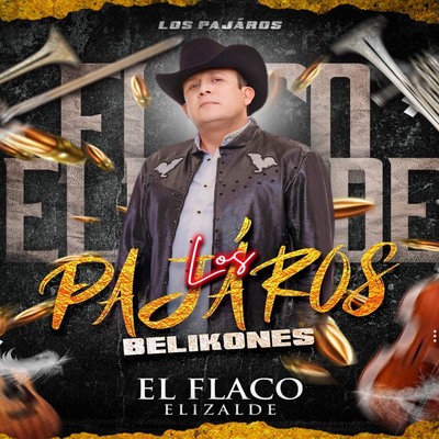 El Flaco Elizalde's cover