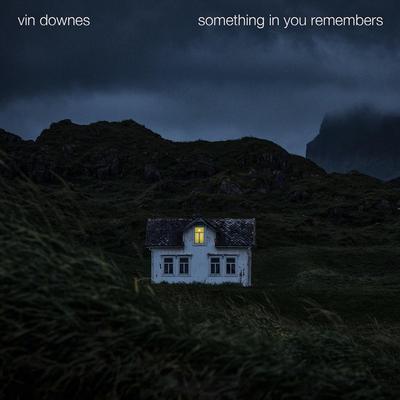 Something in You Remembers By Vin Downes's cover