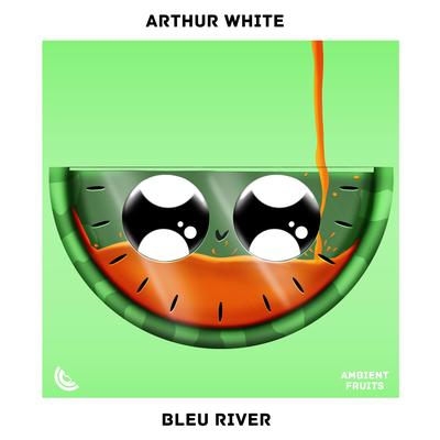 Bleu River By Arthur White's cover
