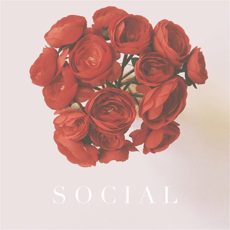 SOCIAL's avatar image