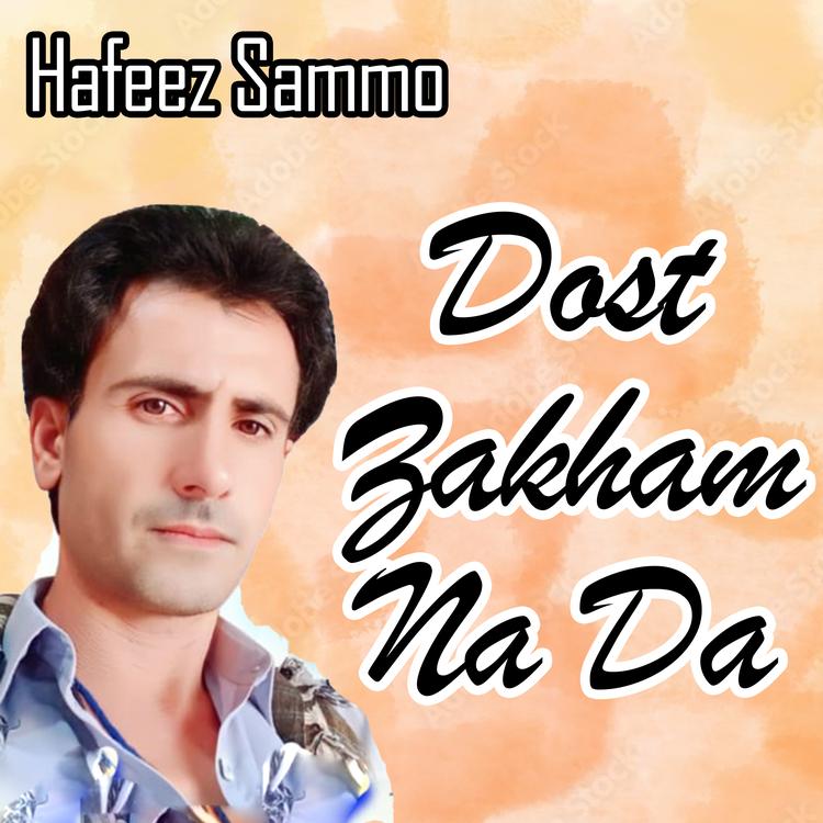 Hafeez Sammo's avatar image