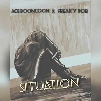 Situation's cover