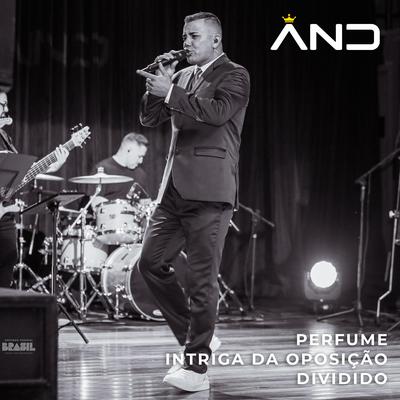 Perfume / Intriga da Oposição / Dividido's cover