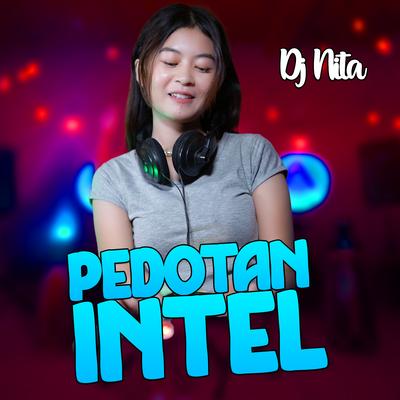 Pedotan Intel's cover