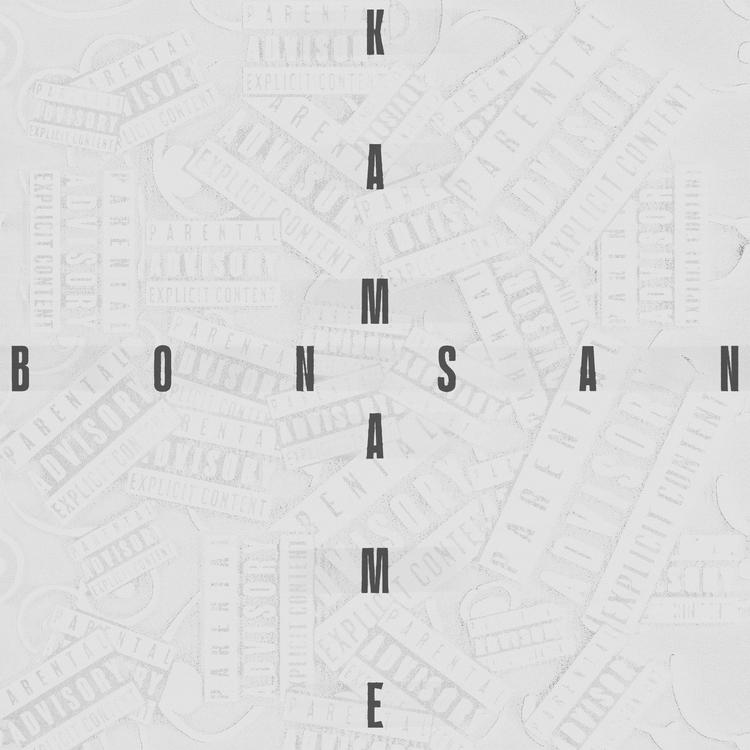 Bonsan's avatar image