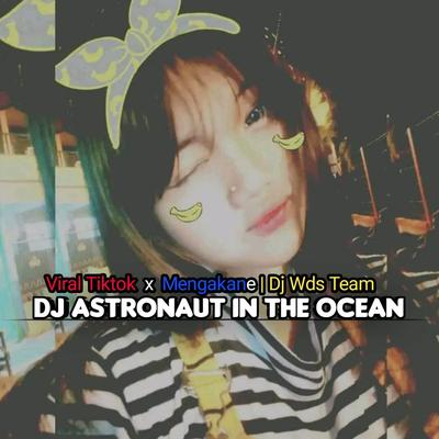 DJ Astronot's cover