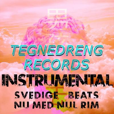 Tegnedreng Records's cover