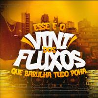 DJ VINI DOS FLUXOS's avatar cover