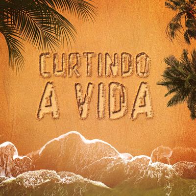 Curtindo a Vida By Lucas Machado's cover