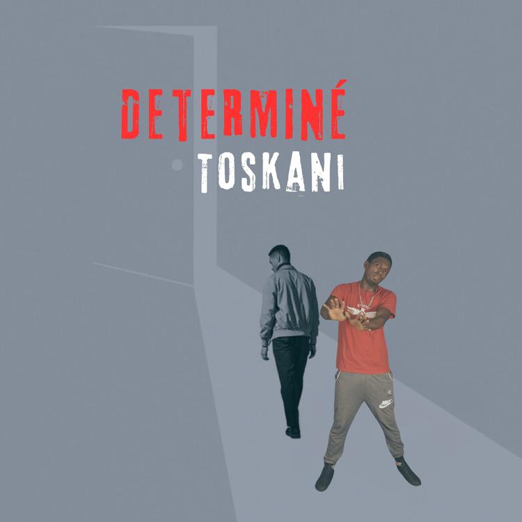 Toskani's avatar image