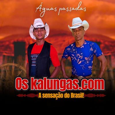 Águas Passadas's cover