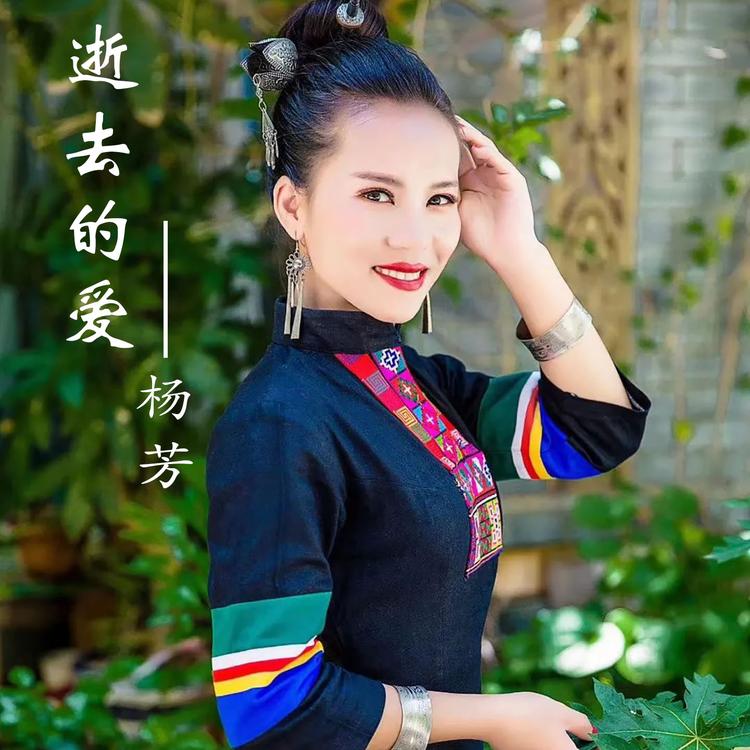 杨芳's avatar image