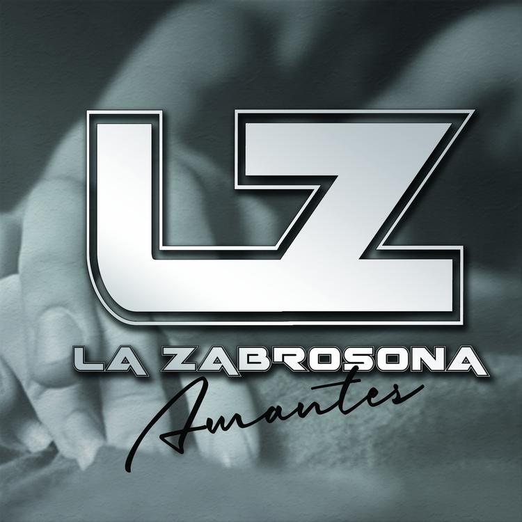 La Zabrosona's avatar image