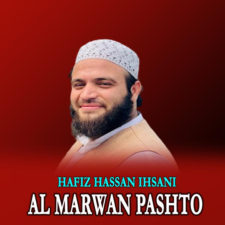 Hafiz Hassan Ihsani's avatar image