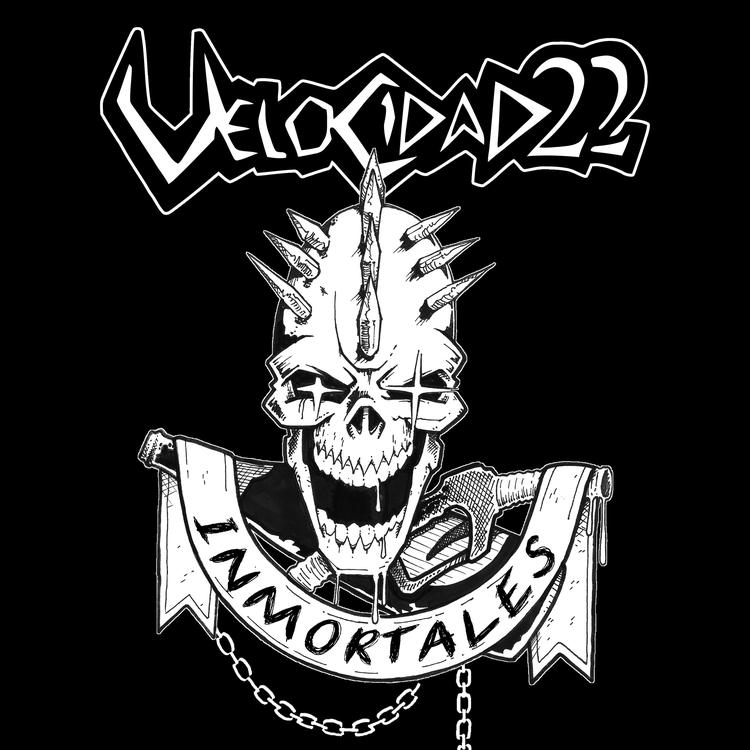 Velocidad 22's avatar image