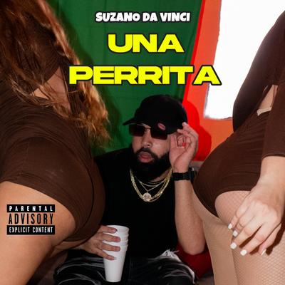 Suzano Da Vinci's cover