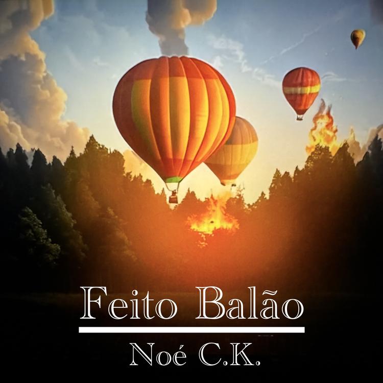 Noé C.K's avatar image