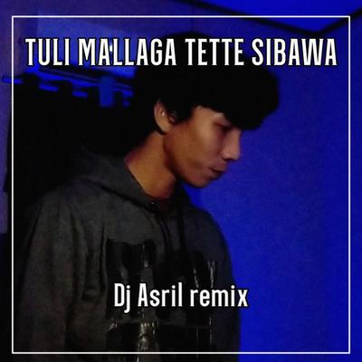 TULI MALLAGA TETTE SIBAWA's cover
