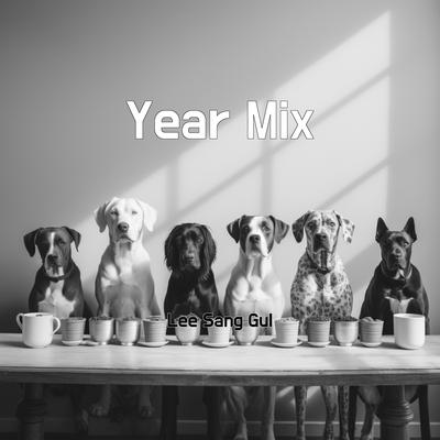 Year Mix's cover